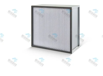 Partitioned High Efficiency High Dust Capacity For Clean Room Filtration