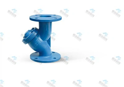 Y-Type Filter Water Pipeline Sewage Water Plant